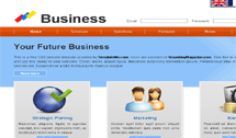 business3