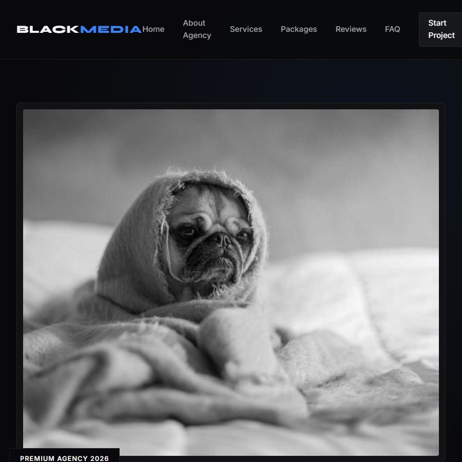 Black Media free website template screenshot