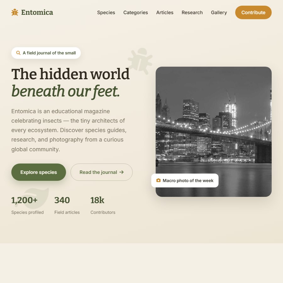Insect Blog free website template screenshot
