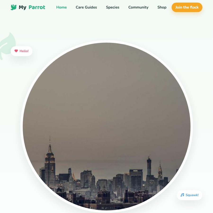 My Parrot free website template screenshot